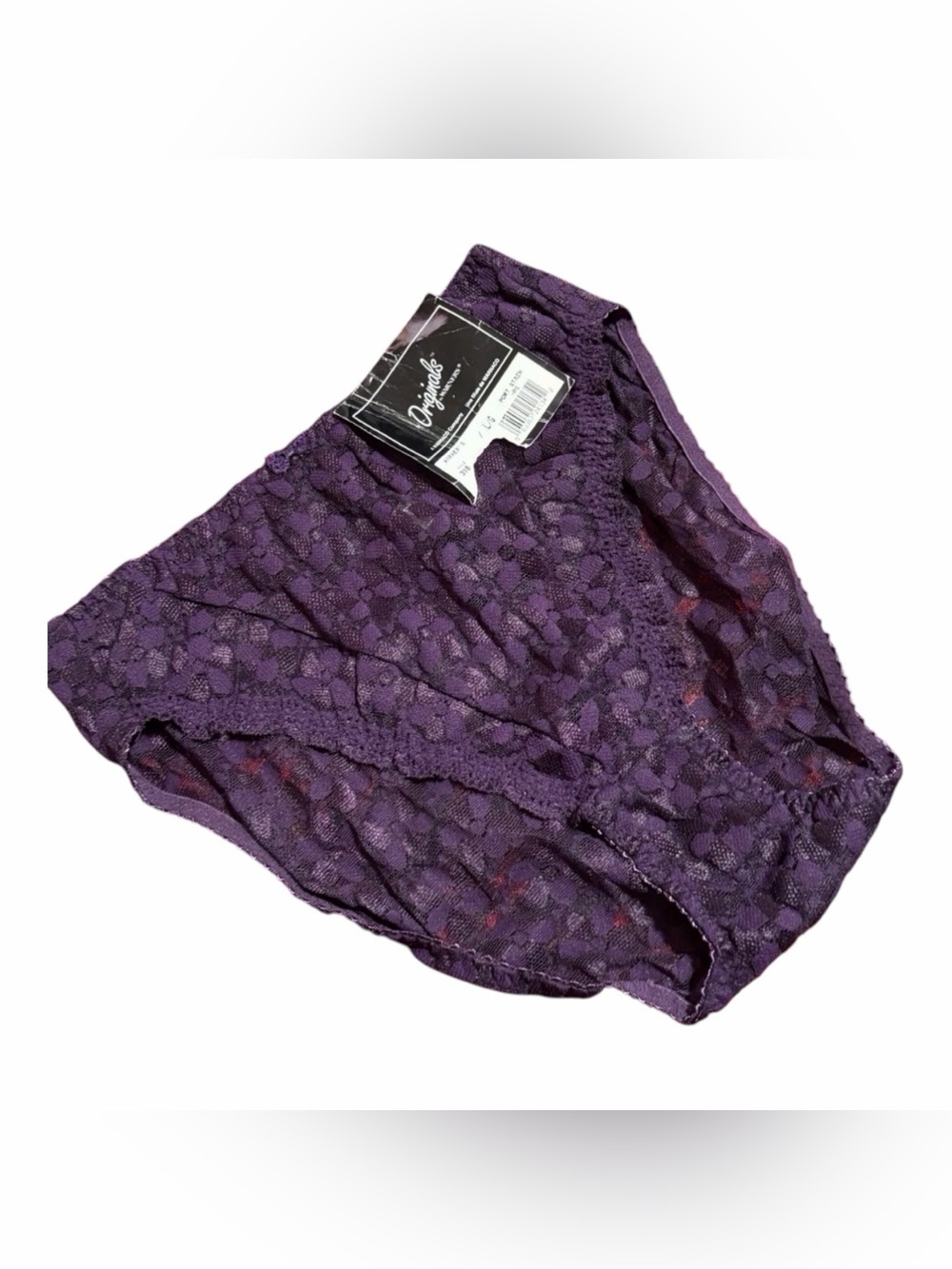VTG Warners Lace Bikini Panty Sissy Brief New Old Stock Tags Large Sheer 1990s